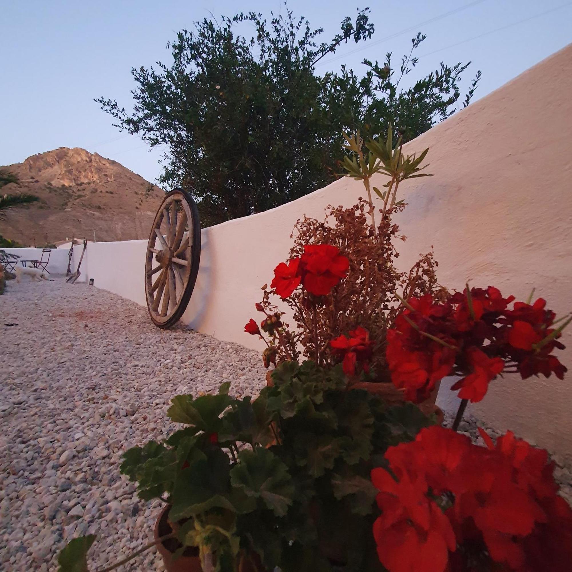 Bed and Breakfast Casa Satori Ория Экстерьер фото